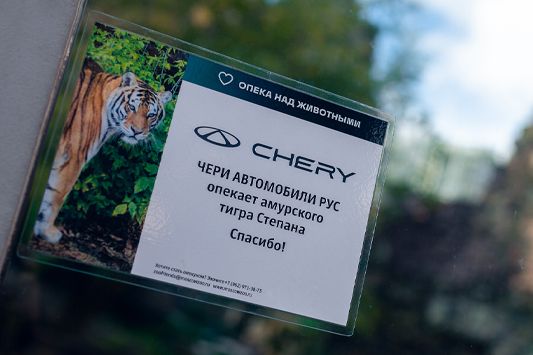 CHERY и амурский тигр